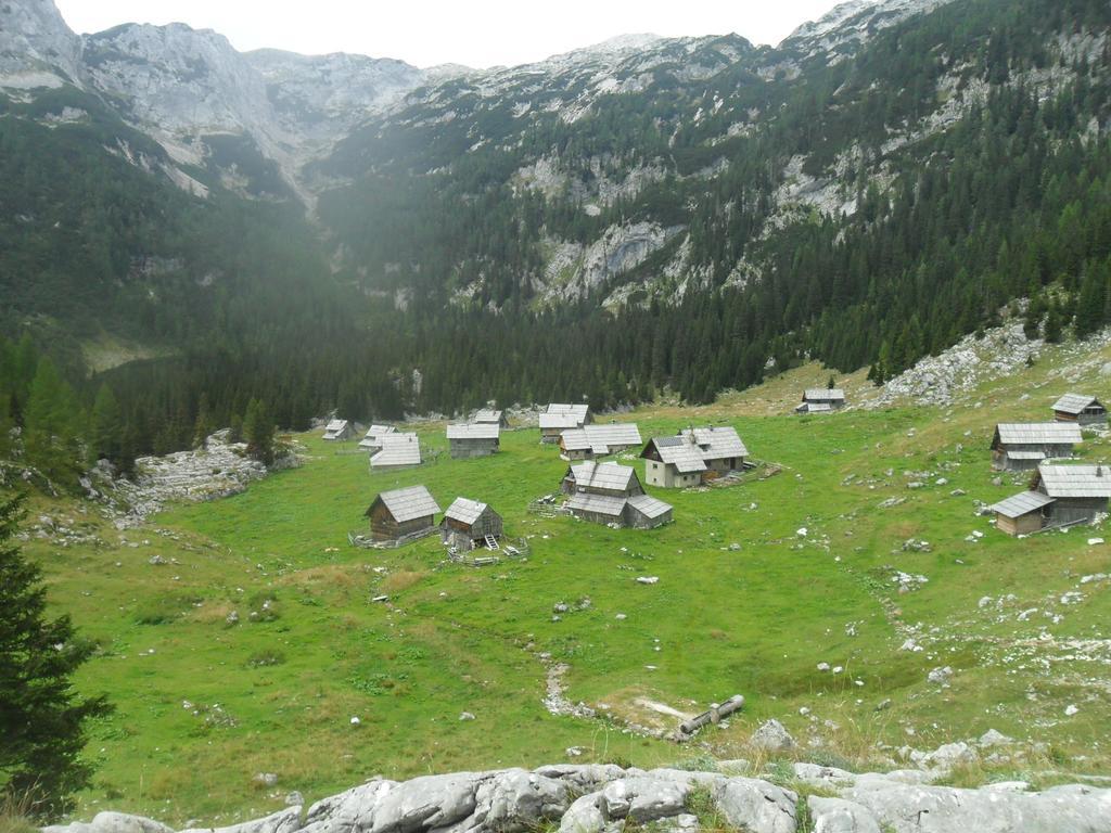 Farmhouse Pri Miklavu Bohinj Eksteriør billede