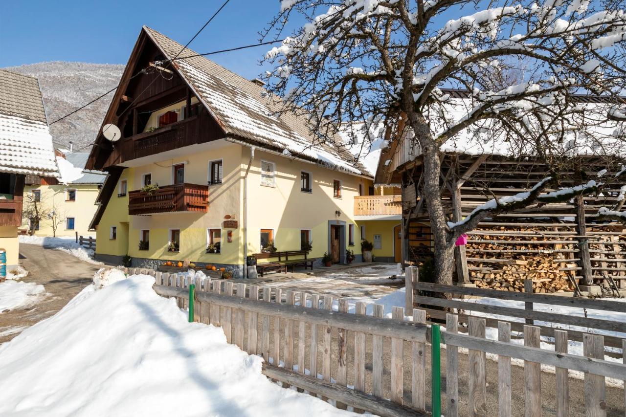 Farmhouse Pri Miklavu Bohinj Eksteriør billede